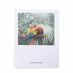 Bueno Home WE'RE ALL JUST A KID FROM SOMEWHERE PHOTO BOOK