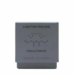 A BETTER FEELING Home PENULTIMATE CERAMIC CANDLE
