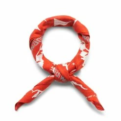 And Wander Odds & Ends REFLECTIVE WORDS BANDANA