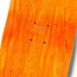 GX1000 STARGATE SKATEBOARD Odds & Ends