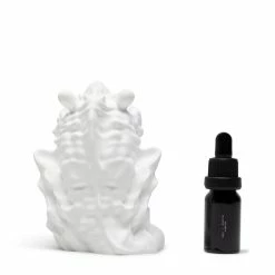 A BETTER FEELING CERAMIC DRAGON OIL DIFFUSER + GINKGO Home