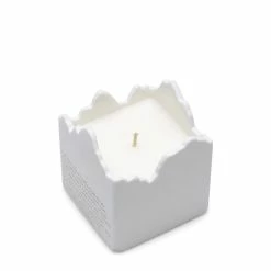 A BETTER FEELING GINKGO CERAMIC CANDLE