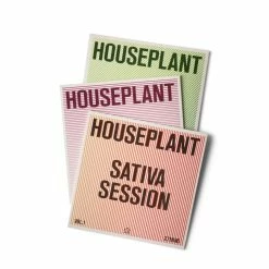 Houseplant VINYL BOX SET