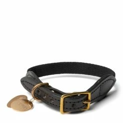 Neighborhood FOUND MY ANIMAL / CL-COLLAR