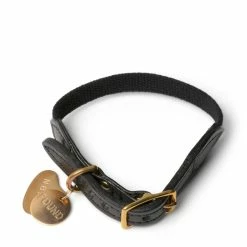 Neighborhood FOUND MY ANIMAL / CL-COLLAR