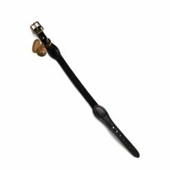 Neighborhood FOUND MY ANIMAL / CL-COLLAR