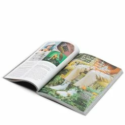 Marketplace SNEAKER FREAKER #47 Home